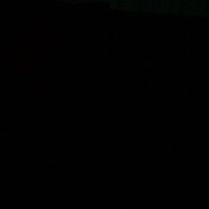 Meet your Posher, Mel